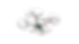 PO+ Website-Bilder.png